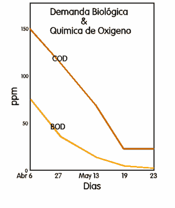 Demanda Biologica & Quimica de Oxigeno