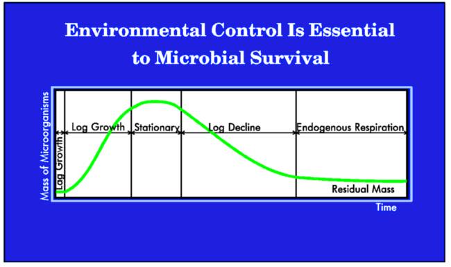 Diagram of Bacterial Growth Stages